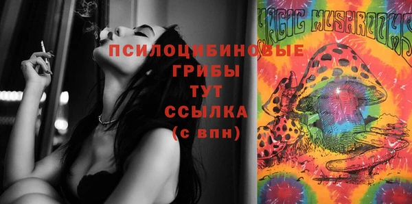 прущий лед Балахна