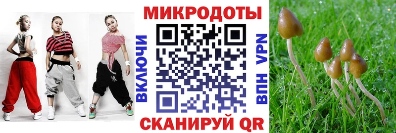 Псилоцибиновые грибы Cubensis  Купить где  Пущино 