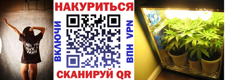 Канабис Amnesia  Купить где  Пущино 